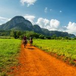 Viñales vallei