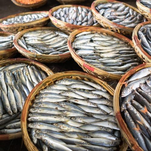 Verse vis in Quy Nhon