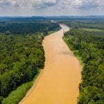 Kinabatangan Rivier