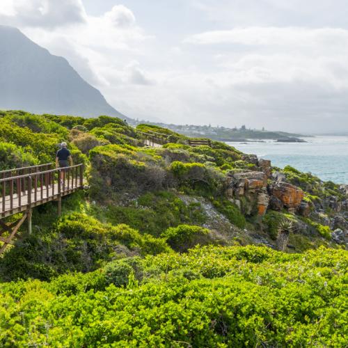 Hermanus klifpad