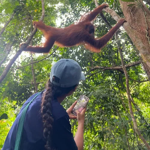 NRV reiziger met orang-oetan