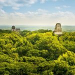 Tikal