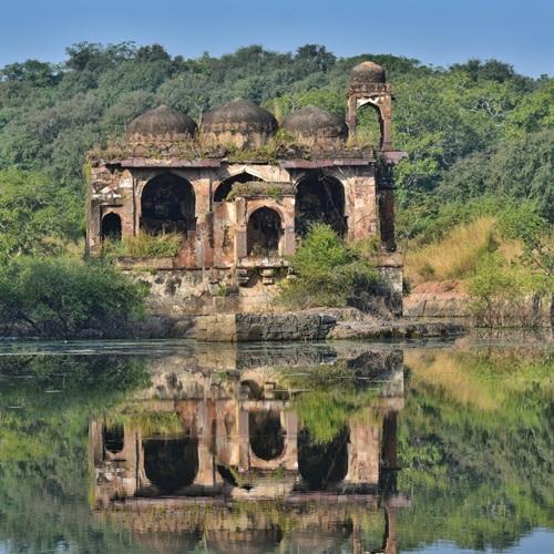 Fort in Ranthambore