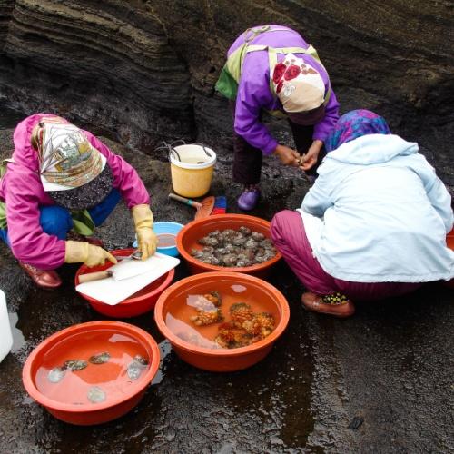 Haenyeo met de vangst