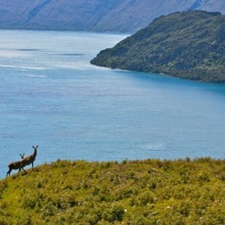 Wild Hills 4WD Safari