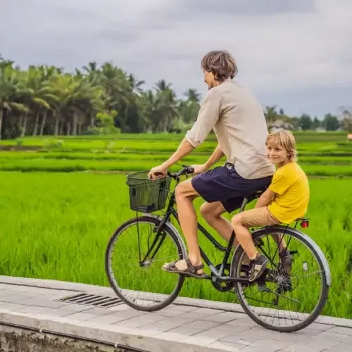 Fietstocht door rijstvelden van Ubud