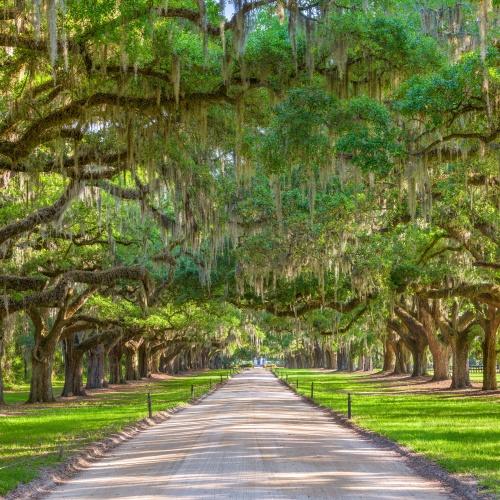 Boone Hall Plantation