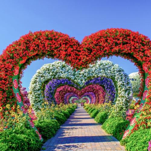Dubai Miracle Garden