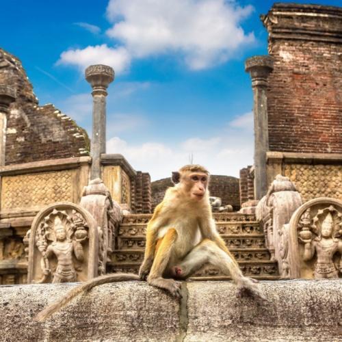 Polonnaruwa