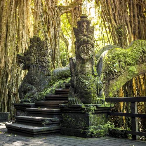 Ubud tempeldraken in het bos