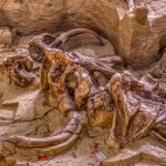 Mammoth Site, South Dakota