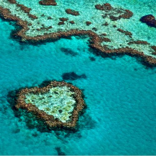 Great Barrier Reef