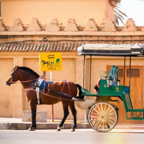 Taroudant, paard en wagen