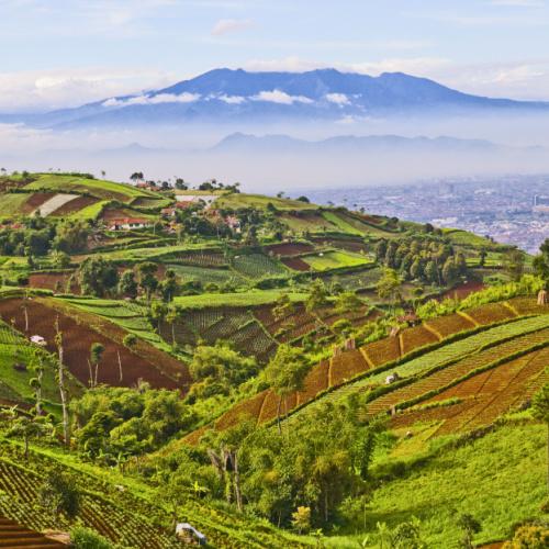 Bandung