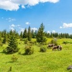 Montenegro, landschap