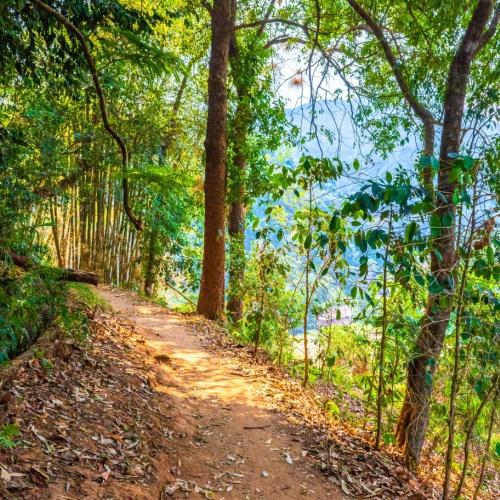 Doi Inthanon National Park