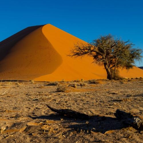 Dune 45, Namib-Naukluft Nationaal Park