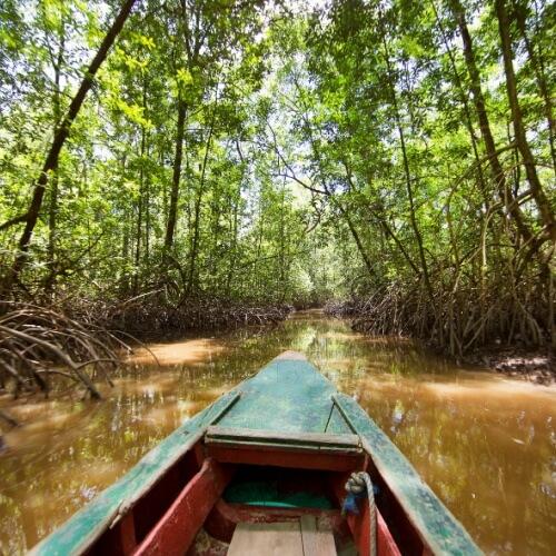 Kajakken, Suriname