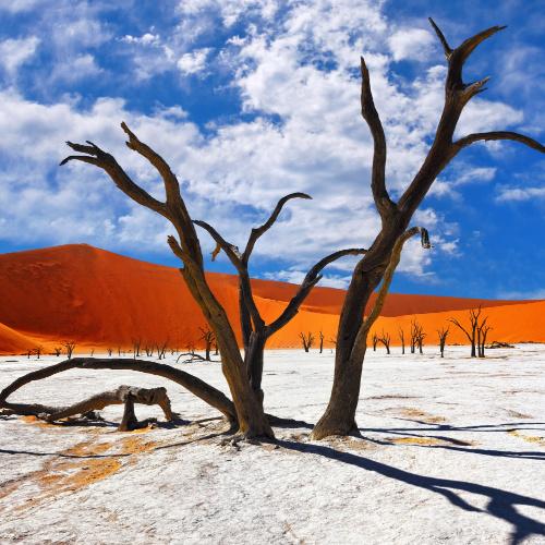 Namib-Naukluft