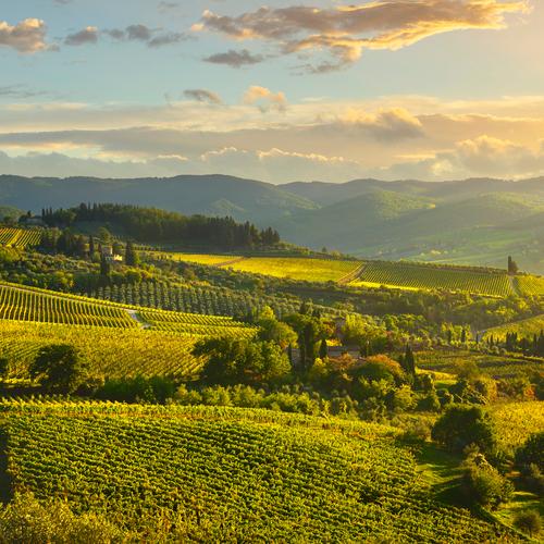 Toscaans landschap