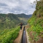 Levada Nova, Madeira