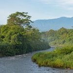 Sarapiqu&iacute;-rivier