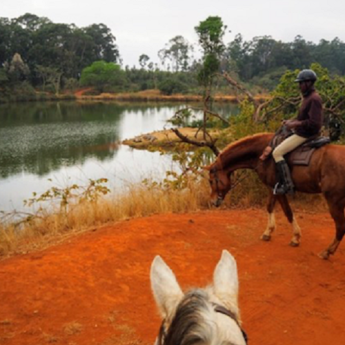 Paardrijden Swaziland