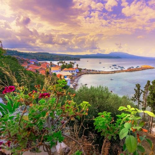 Koroni