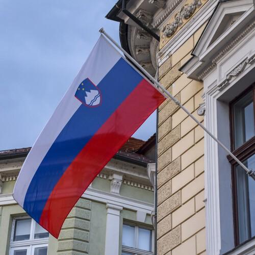 Sloveense vlag 