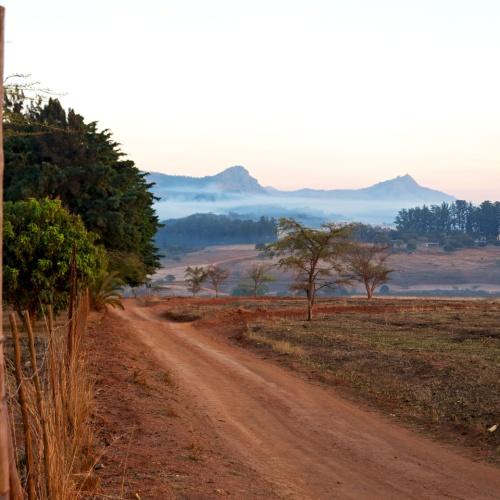 Mlilwane Nationaal Park