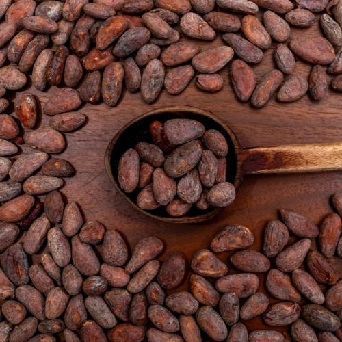 Leren hoe traditionele chocolade gemaakt wordt