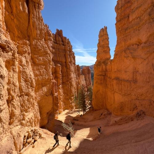 Wandelen in Bryce Canyon