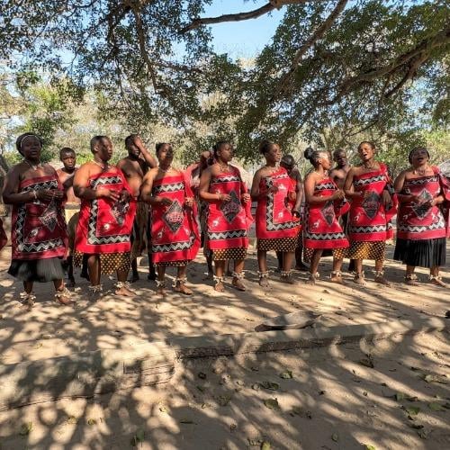 Reizigersfoto Divers Zuid afrika