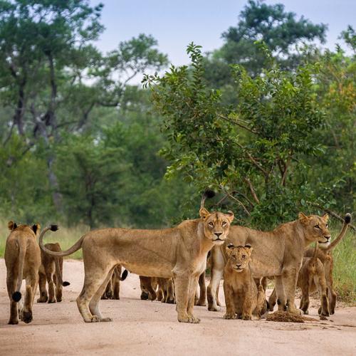 Serengeti National Park