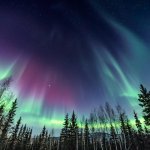 Noorderlicht in Fairbanks