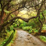 Levada wandeling