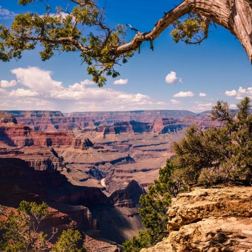 South Rim Grand Canyon
