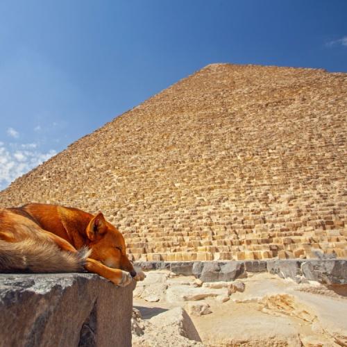 Piramide van Gizeh