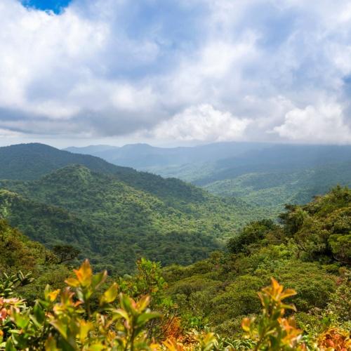 Monteverde