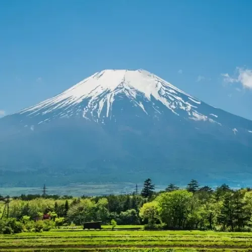 Uitzicht op Mount Fuji