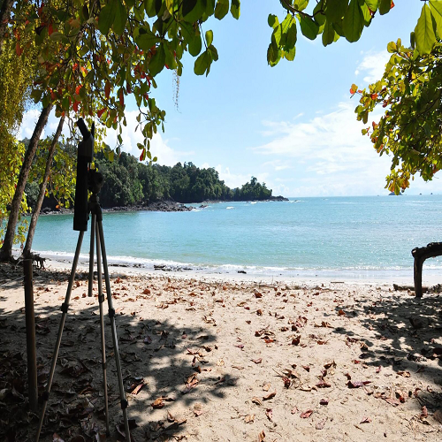 Manuel Antonio - Walk