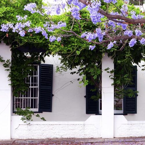 Huisje in Graaff-Reinet