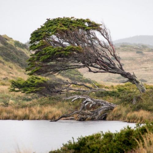 Estancia Harberton