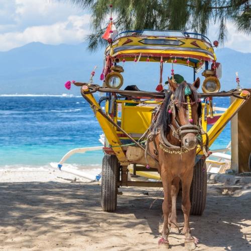Gili Paard & Wagen