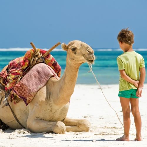 Op het strand van Makadi