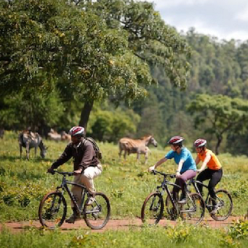 Mountainbiken in Eswatini