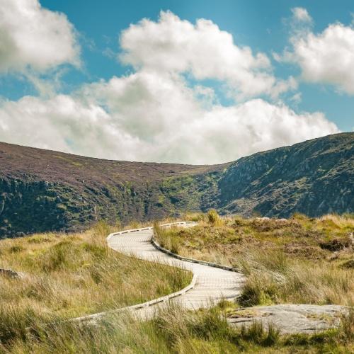 Wicklow 