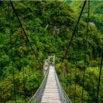 Baños