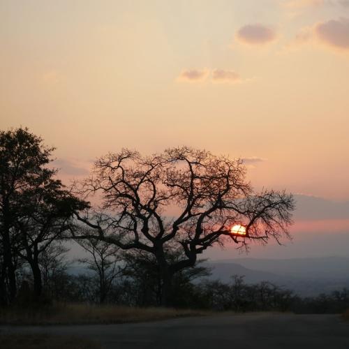 Zonsondergang, Kruger Nationaal Park (Hazyview)