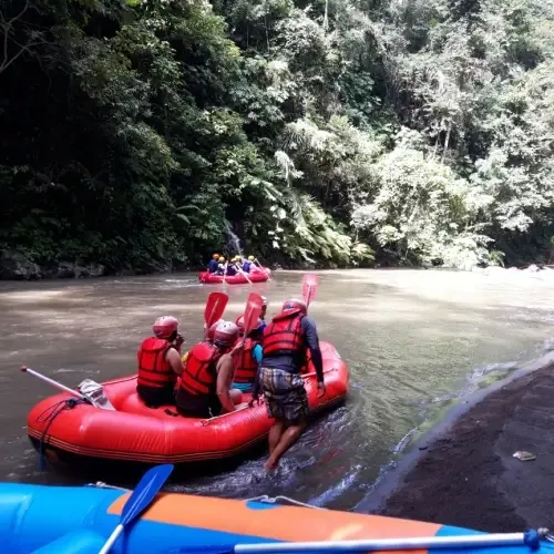 Raften bij de Ayung rivier